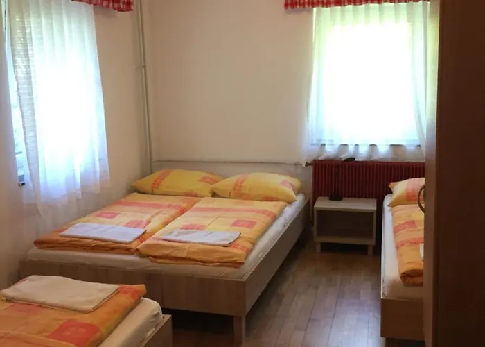 Vandrarhem Youth Nika Kranjska Gora